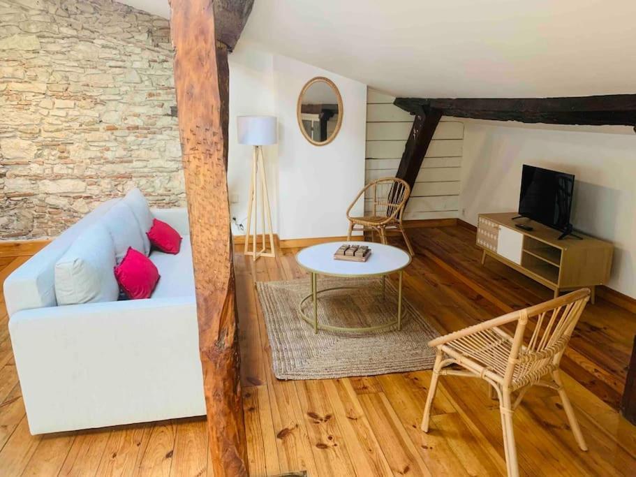 Spacieux Appartement En Plein Coeur De Castres Кастр Экстерьер фото