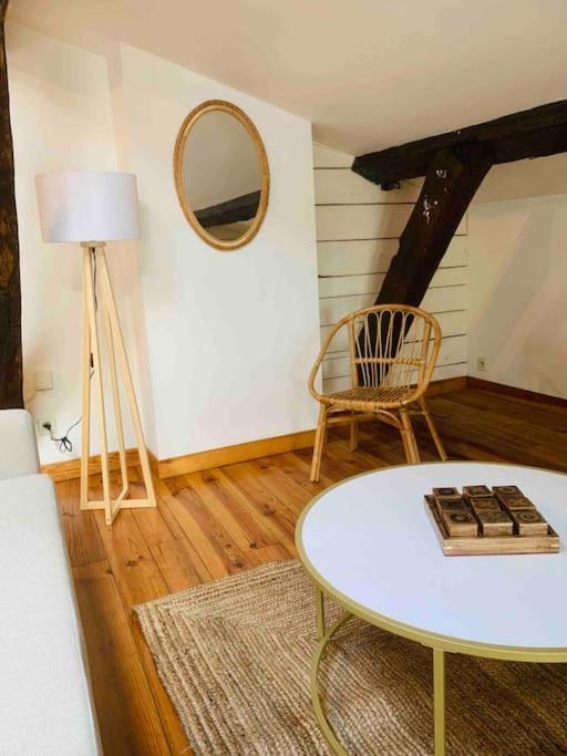 Spacieux Appartement En Plein Coeur De Castres Кастр Экстерьер фото