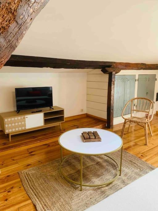Spacieux Appartement En Plein Coeur De Castres Кастр Экстерьер фото