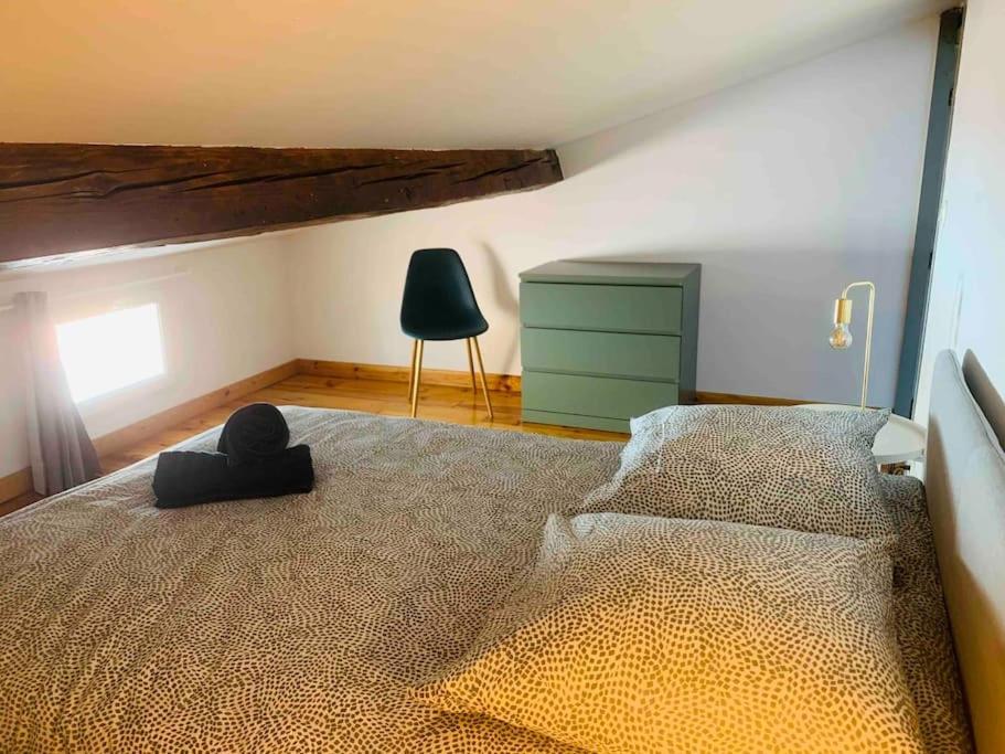 Spacieux Appartement En Plein Coeur De Castres Кастр Экстерьер фото
